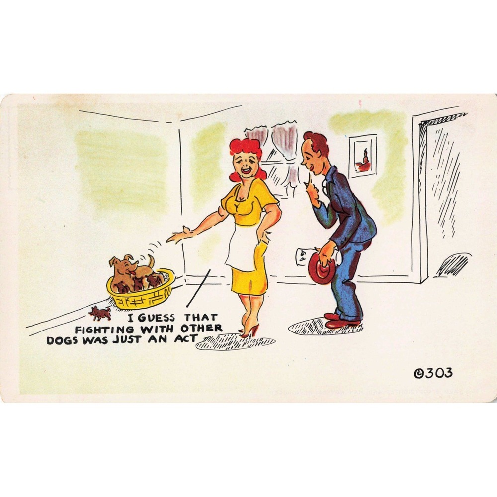Vintage KromeKolor Comic Postcard Humorous Dog Scene Noble Colorado Springs 303